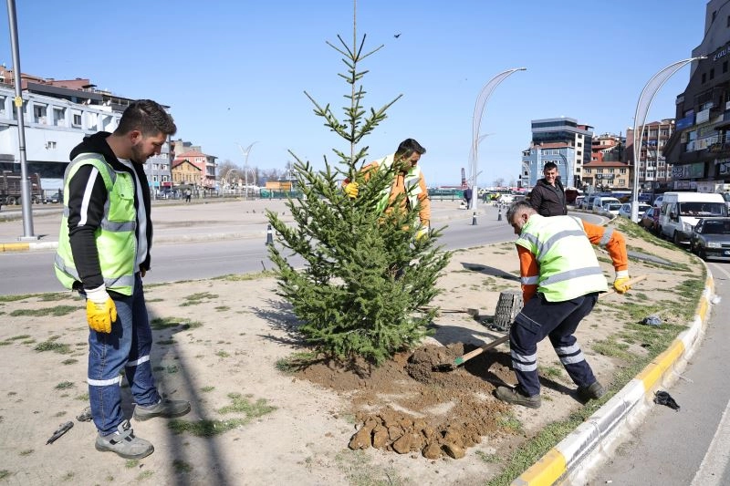 Zonguldak’ta Daha Yeşil Bir Gelecek İçin Fidan!