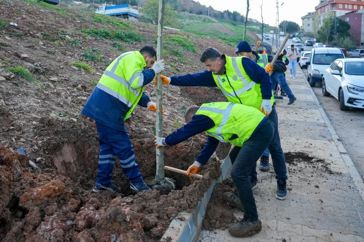 Zümrütevler’de Geri Dönüşümle Yeni Parklar